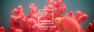How Will the Pantone Colour of the Year 2019 Impact Jewellery?